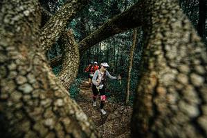 BIB: 
                            <button type="button" onclick="openModal(25703271)" class="btn btn-primary btn-sm float-right btn-popup" data-toggle="modal" data-target=".modal-high-quality">
                        <i class="fas fa-shopping-cart"></i> Add to Cart
                    </button>
                                            <button type="button" onclick="isThisMe(25703271, true)" class="btn btn-success btn-sm float-right btn-popup btn-isme hidden" data-toggle="tooltip" data-placement="bottom" title="นี่คือรูปของคุณใช่ไหม คลิกที่นี่เพื่อเอาเข้าอัลบั้ม">
                        <i class="fas fa-plus"></i> Add to album
                    </button>
                    <button type="button" onclick="isThisMe(25703271, false)" class="btn btn-warning btn-sm float-right btn-popup btn-isnotme hidden">
                        <i class="fas fa-ban"></i> Remove from album
                    </button>